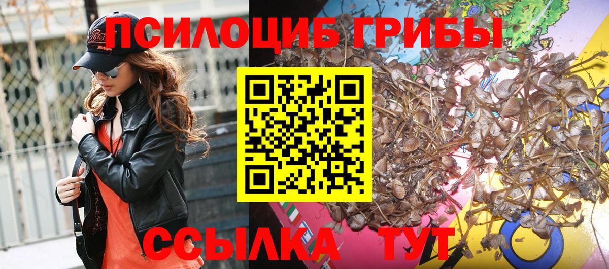 Псилоцибиновые грибы мицелий  Псилоцибиновые грибы Magic Shrooms  Вход с VPN  Ярцево 