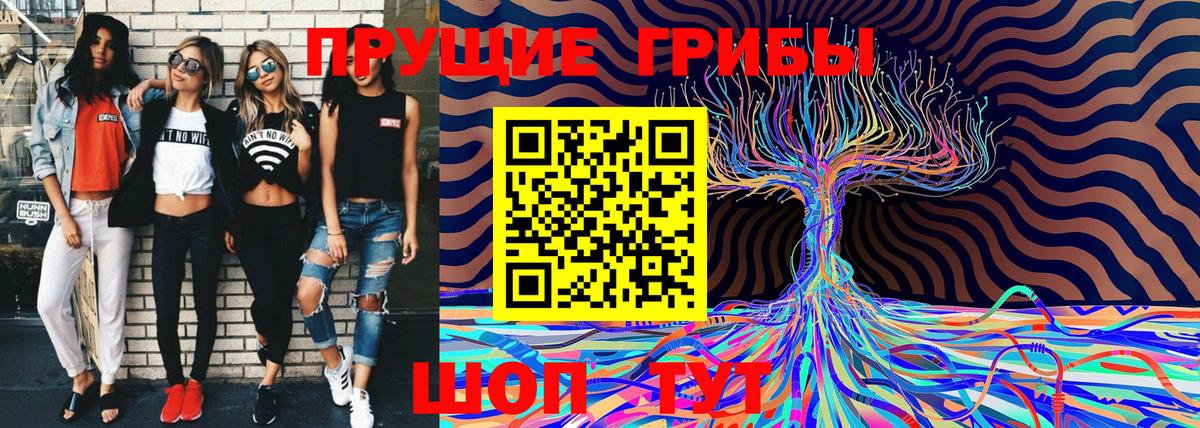 Псилоцибиновые грибы GOLDEN TEACHER Ярцево